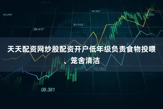 天天配资网炒股配资开户低年级负责食物投喂、笼舍清洁