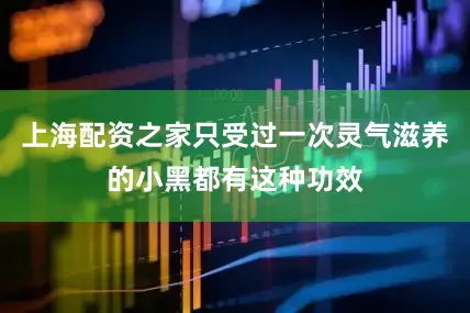 上海配资之家只受过一次灵气滋养的小黑都有这种功效