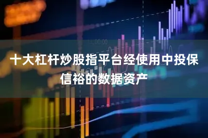 十大杠杆炒股指平台经使用中投保信裕的数据资产